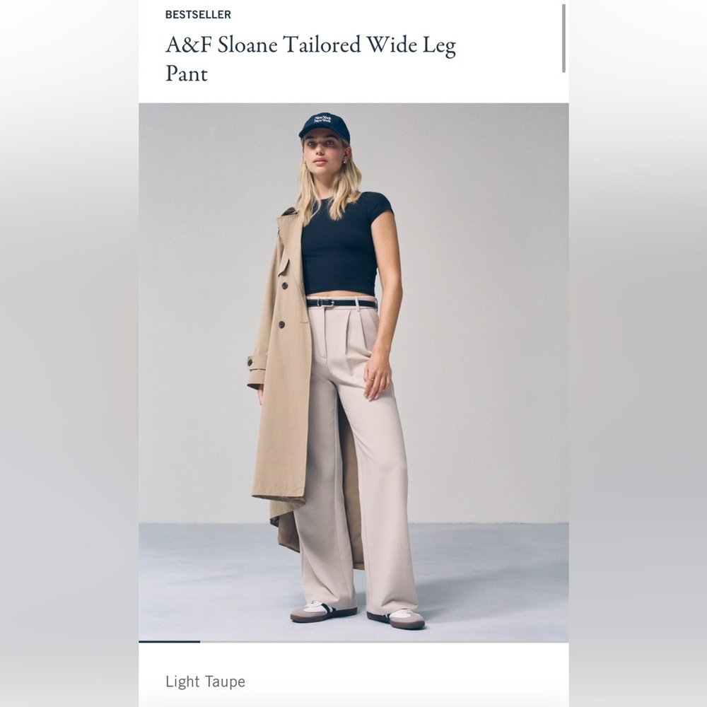 Abercrombie Sloane Tailored Wide Leg Pant